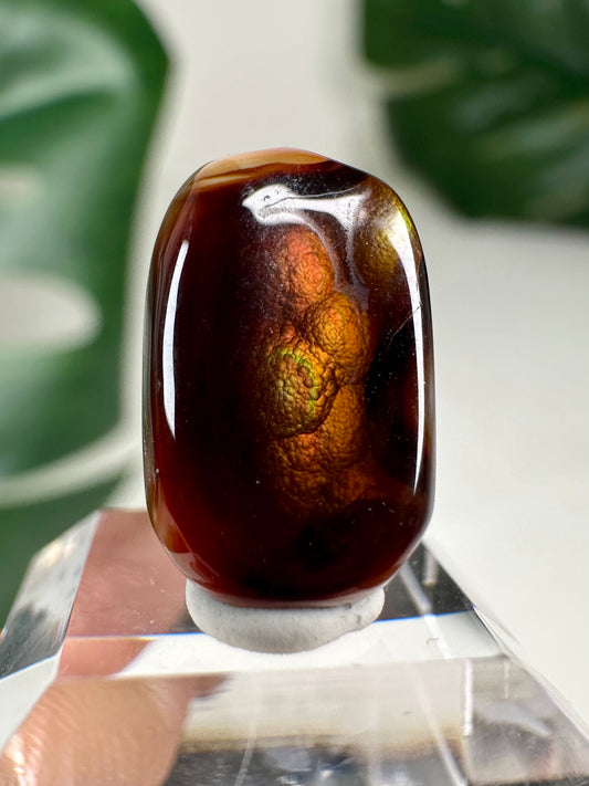 Ágata de fuego n.º 43FA