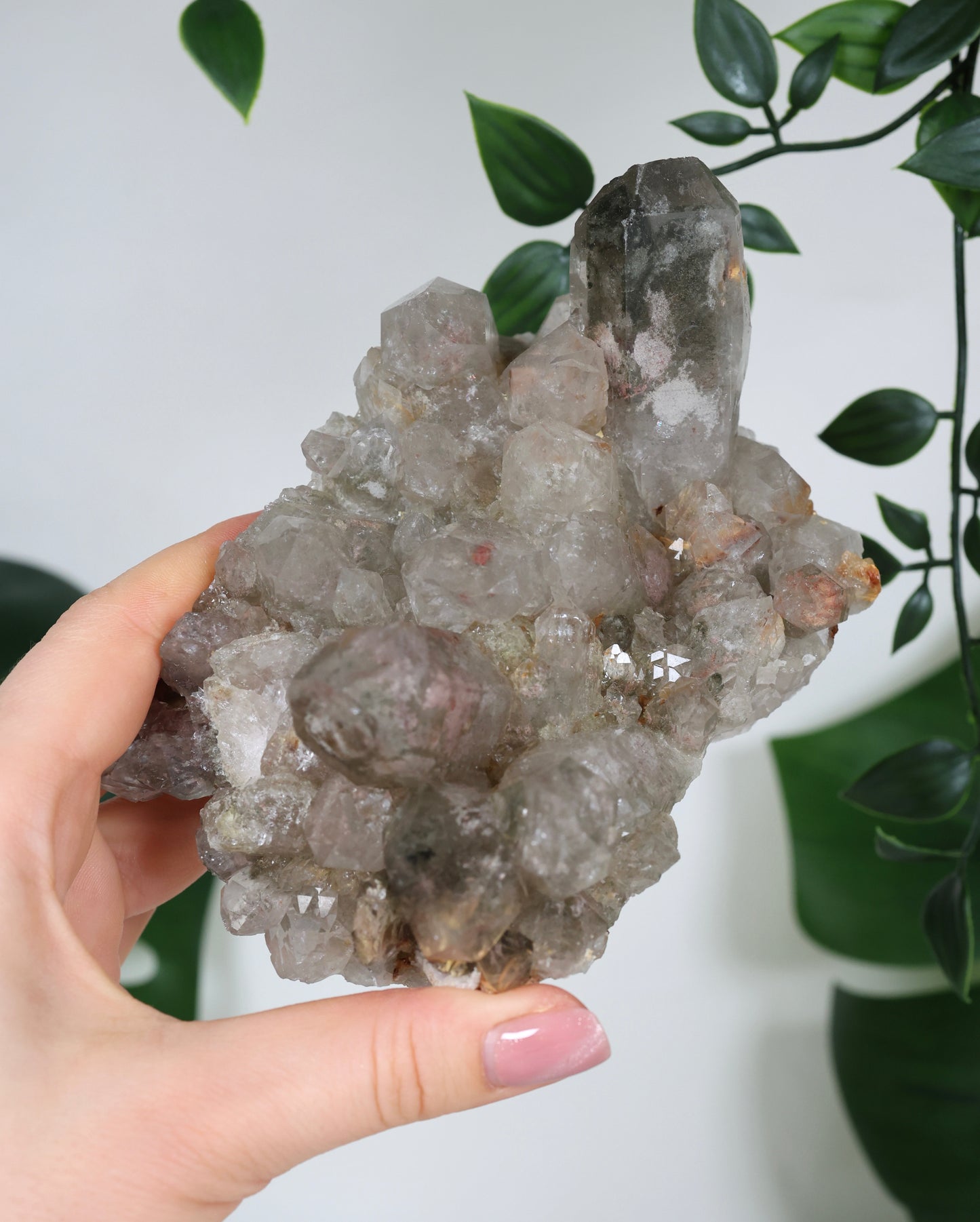 Gartenquarz x Rutil Cluster Nr.319GR