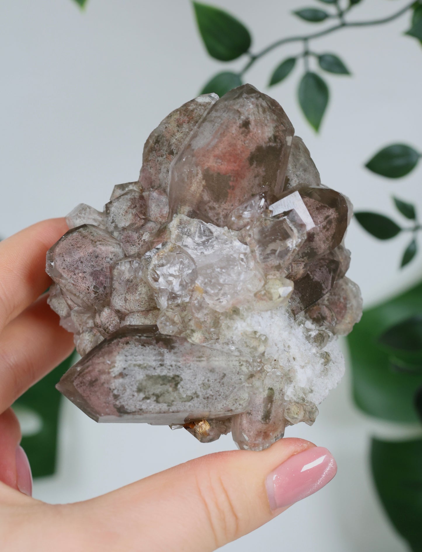 Gartenquarz x Rutil Cluster Nr.165GR