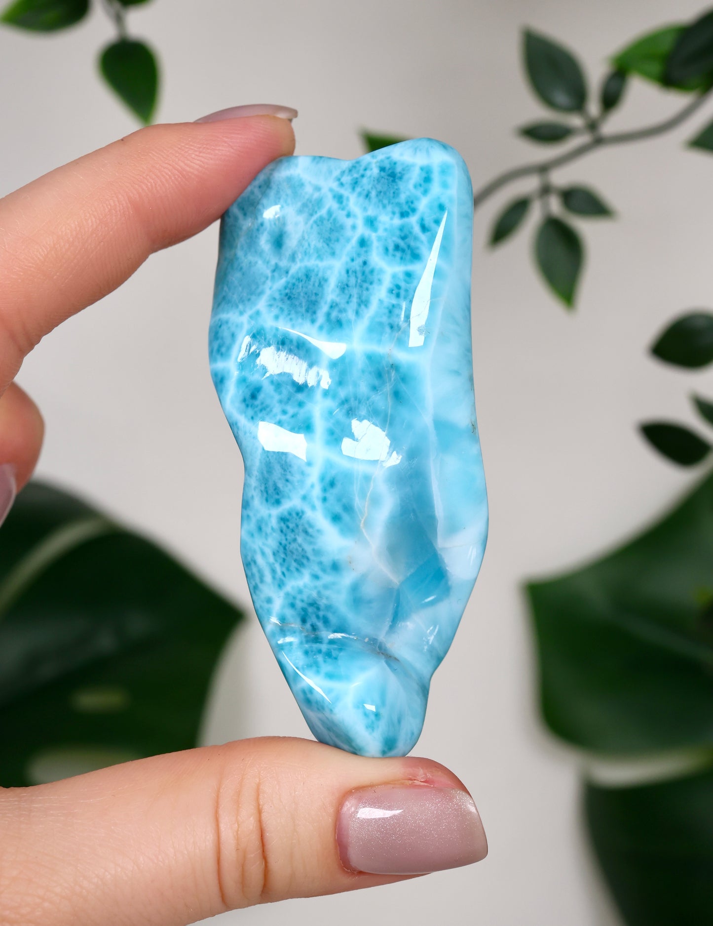 Larimar HQ Nr.499LA