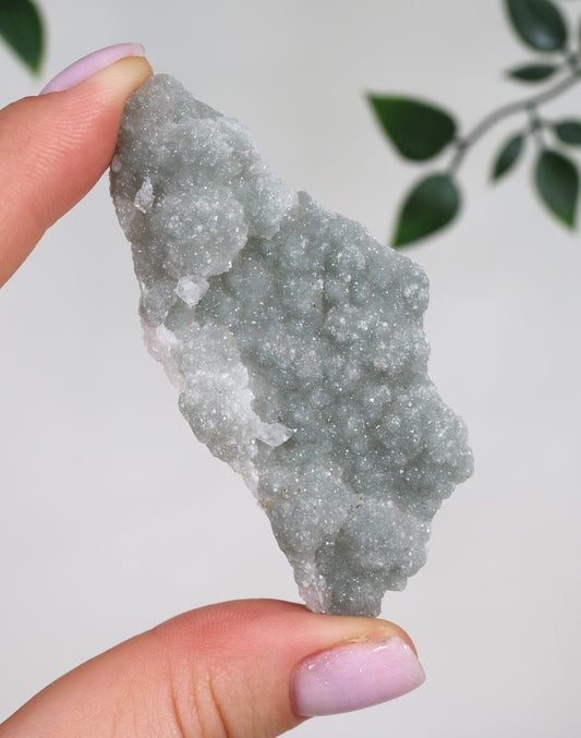 Grüner Apophyllit Crust Nr.30GA