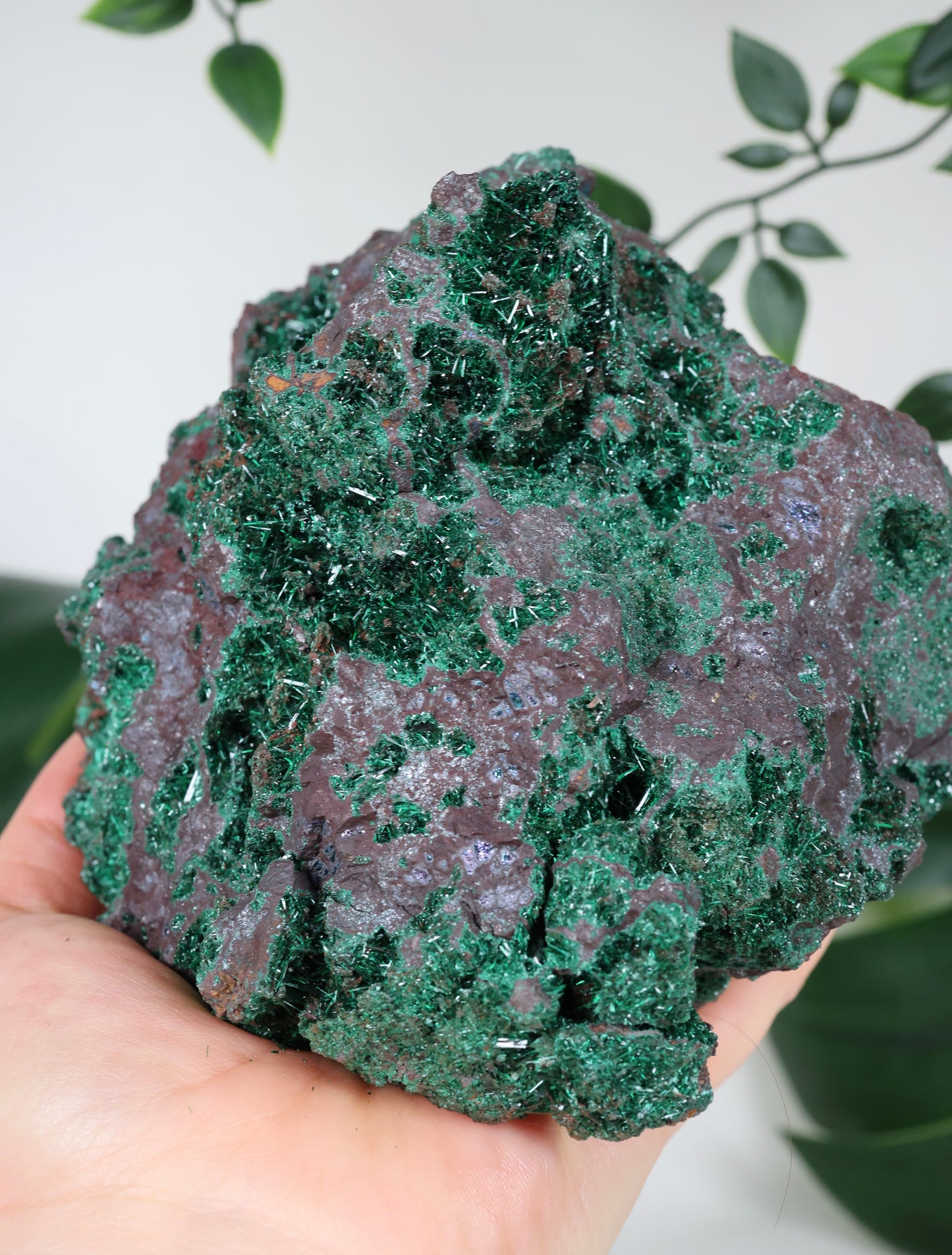 Brochantit x Bornit Nr.295BC