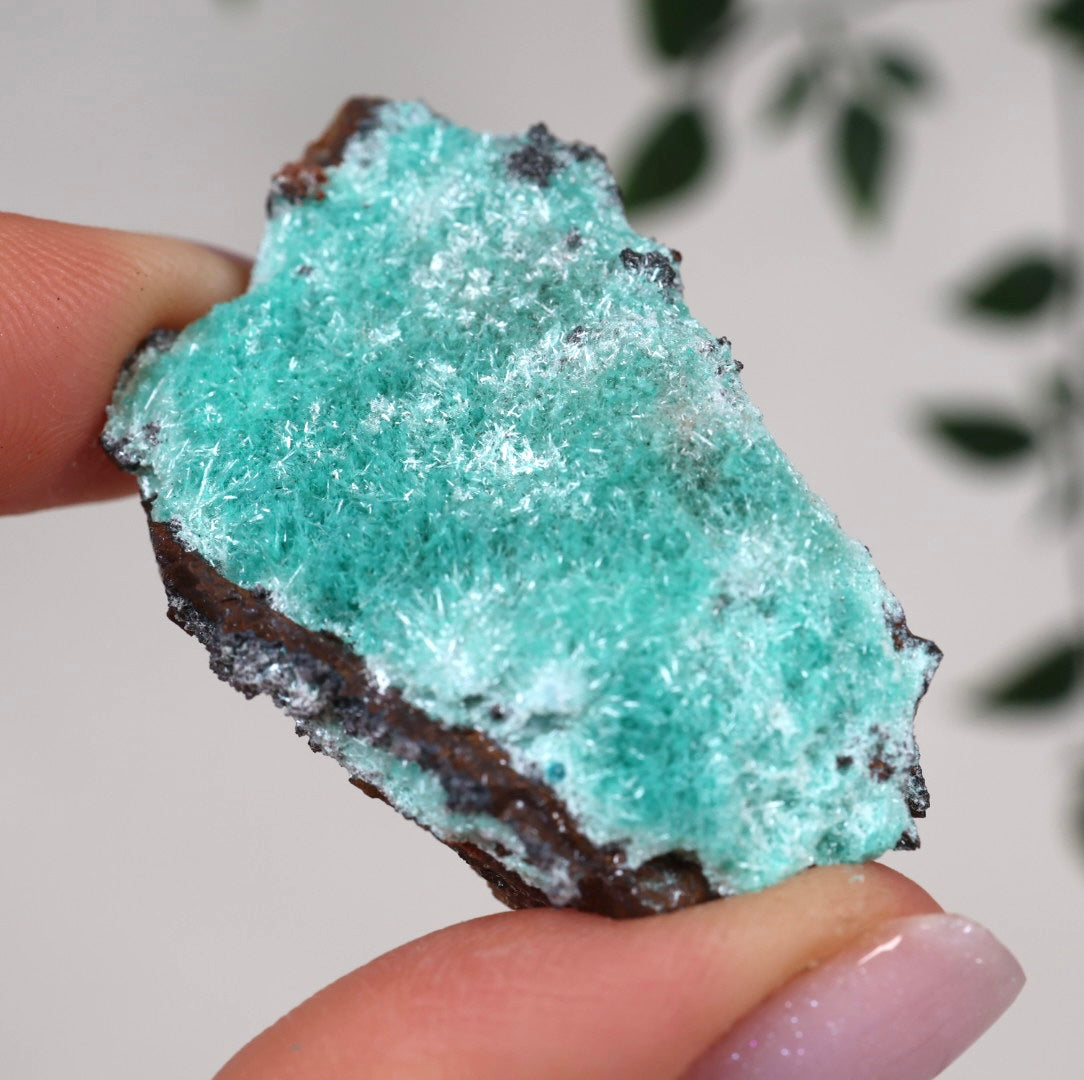Aurichalcite Nr.33AU