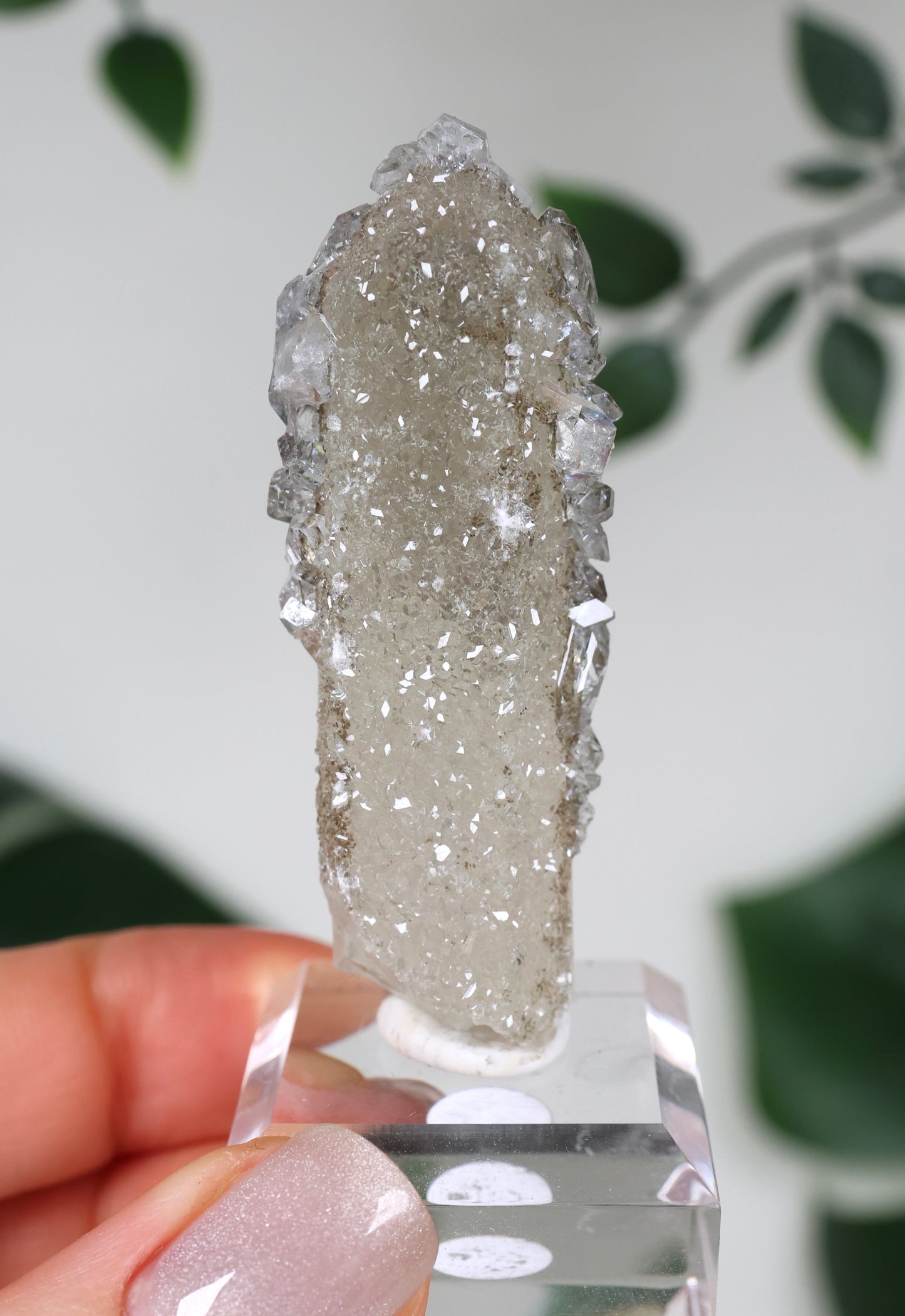 Apophyllit x Quarz x Chlorit Nr.77AP