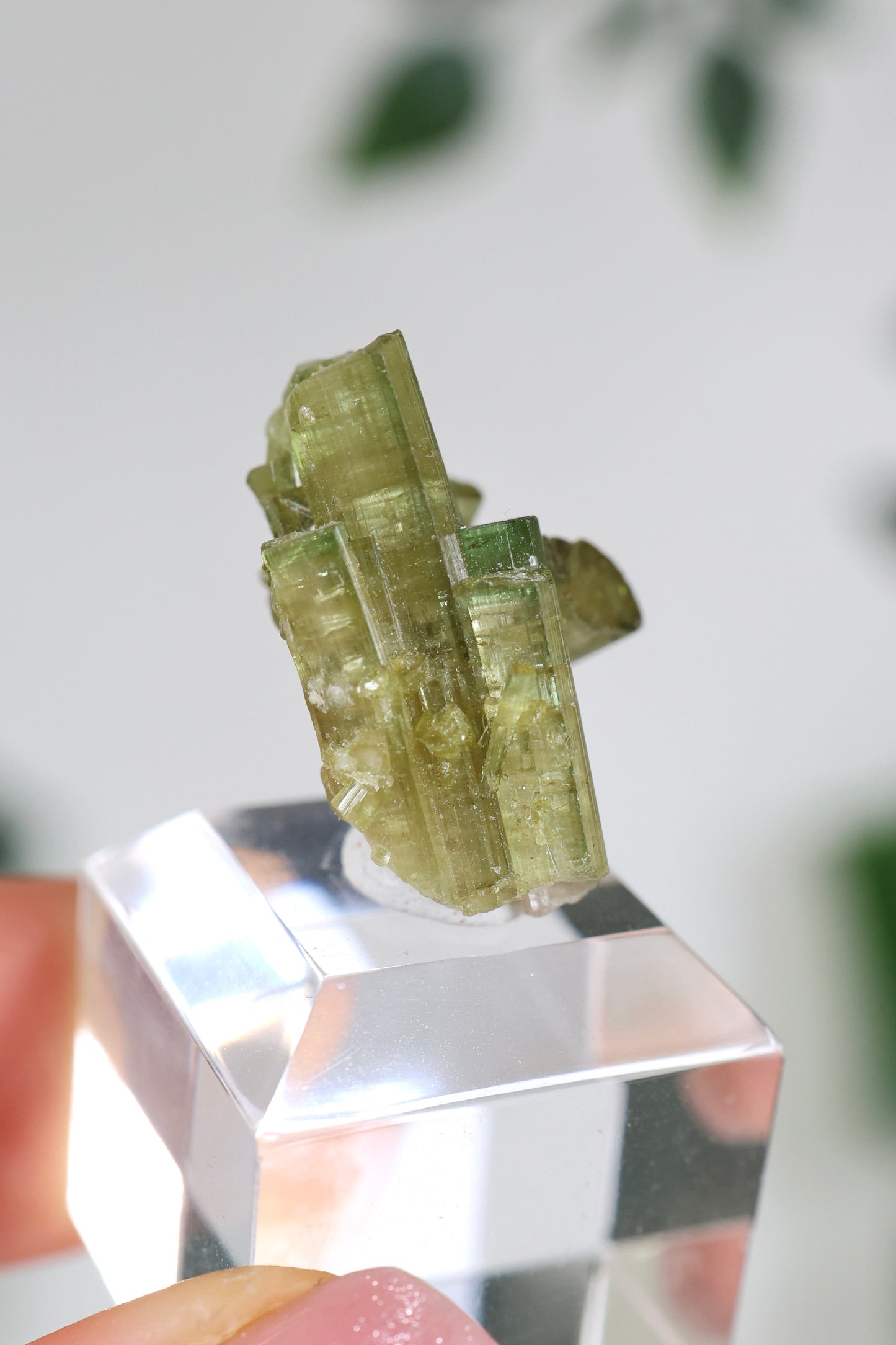 Grüner Turmalin Nr.33GT