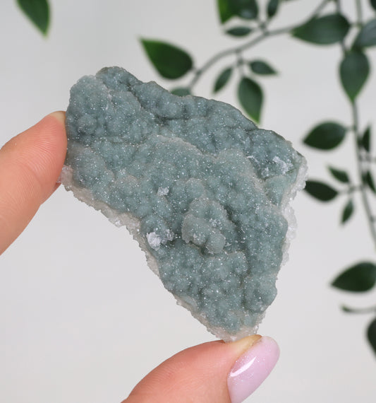 Grüner Apophyllit Crust Nr.34GA