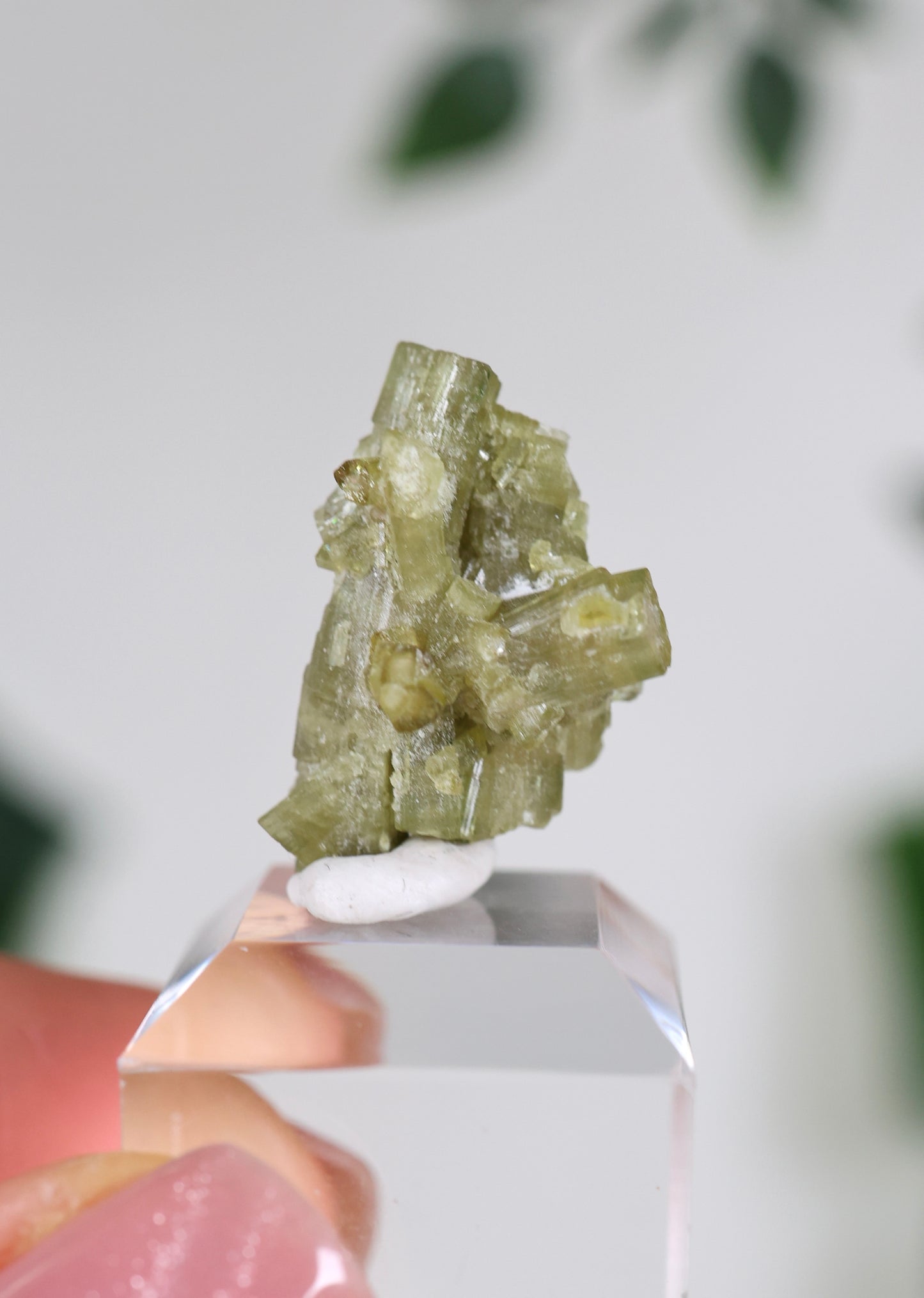 Grüner Turmalin XS - Auswahl