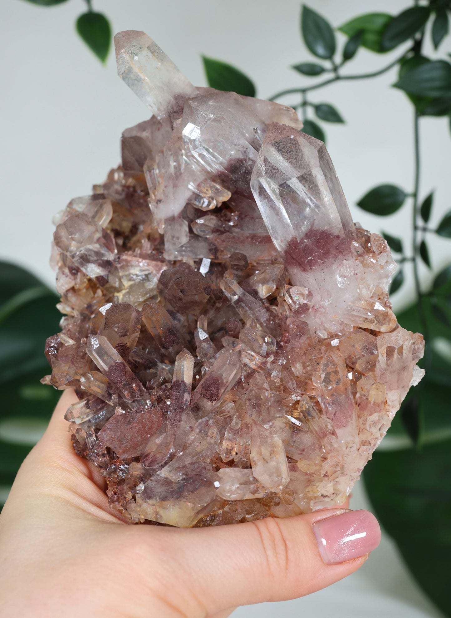 Sunset Quarz Nr.304SQ