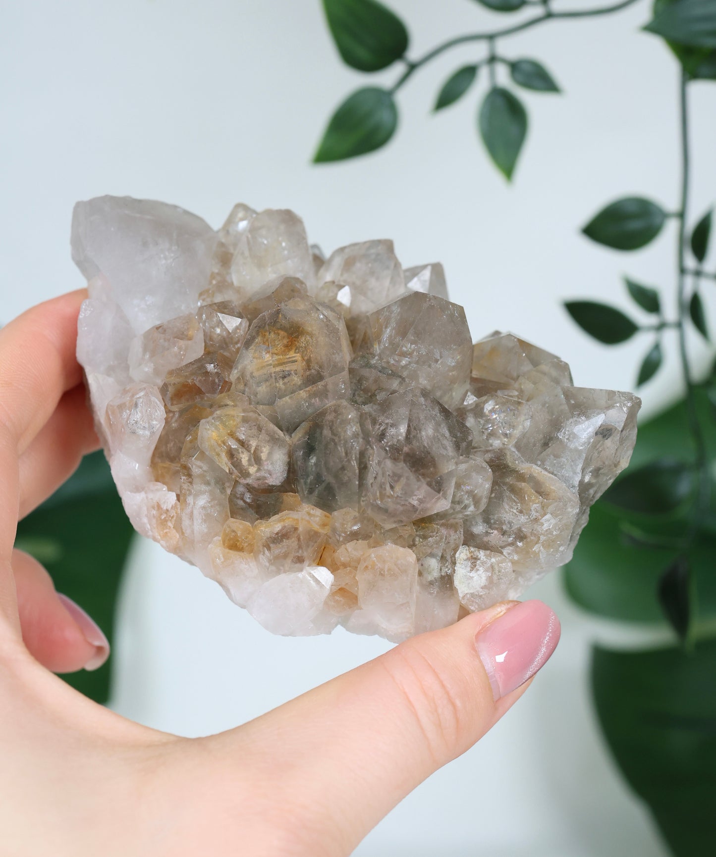 Gartenquarz Cluster Nr.168GQ