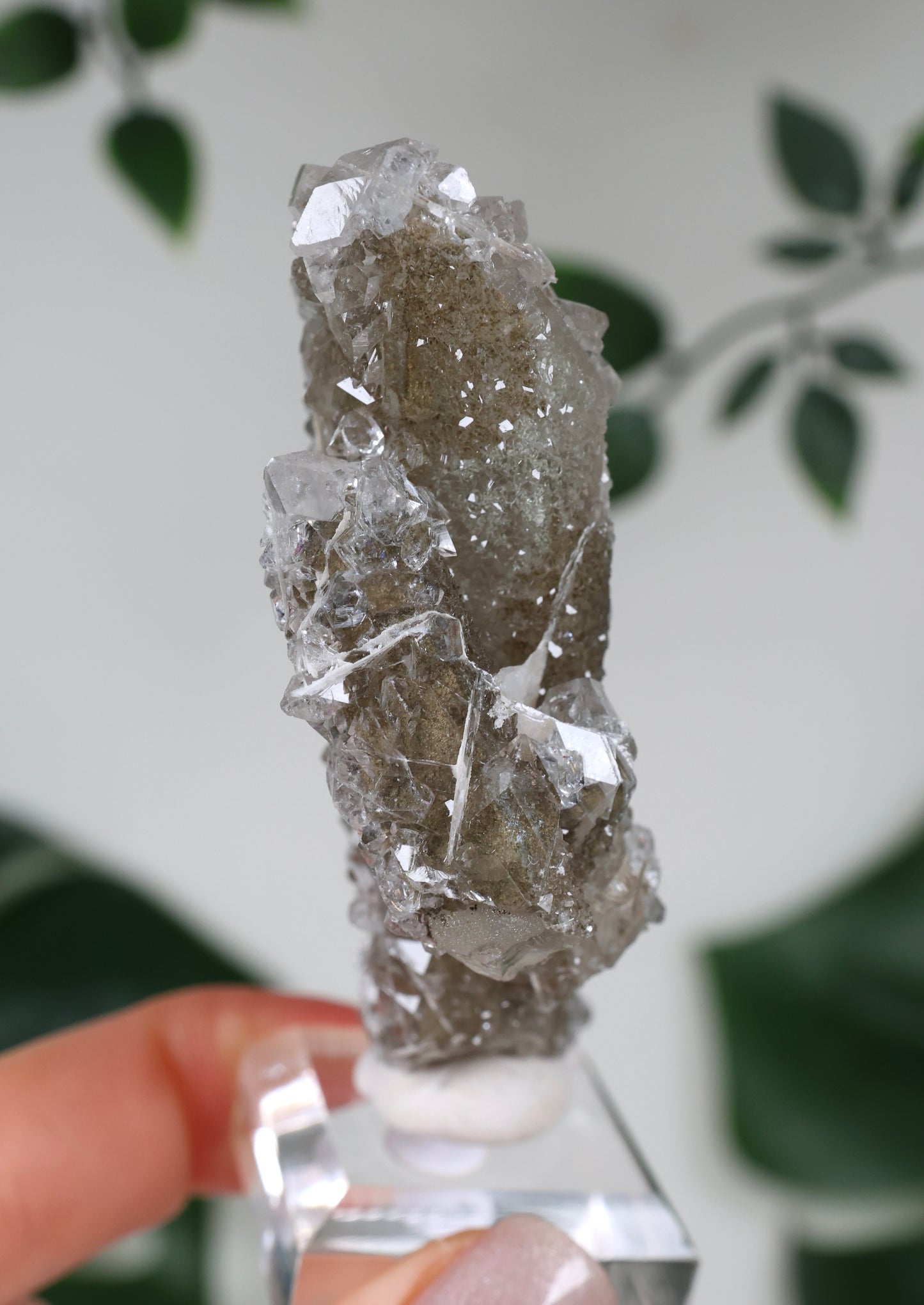 Apophyllit x Quarz x Chlorit Nr.129QA