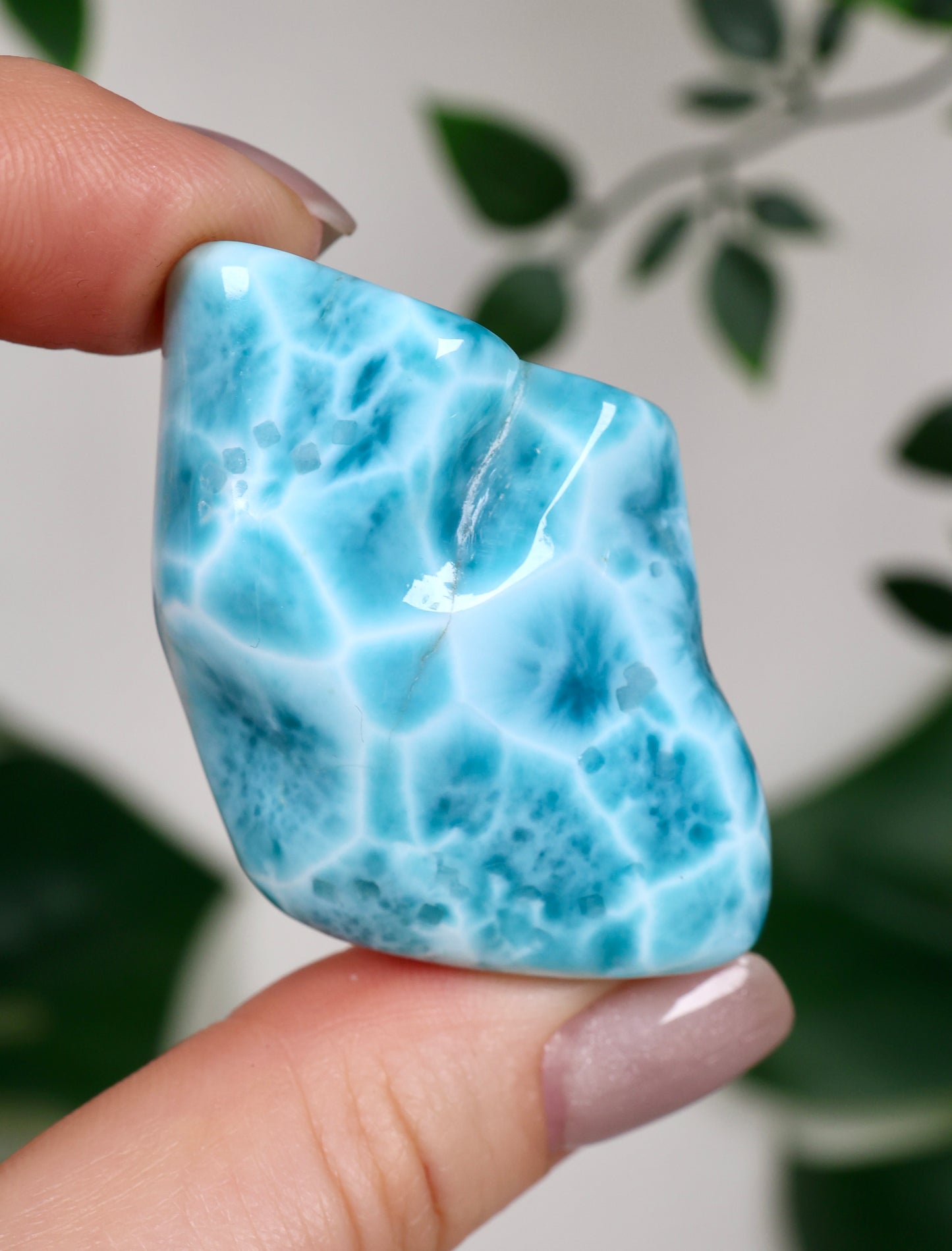 Larimar HQ Nr.383LA