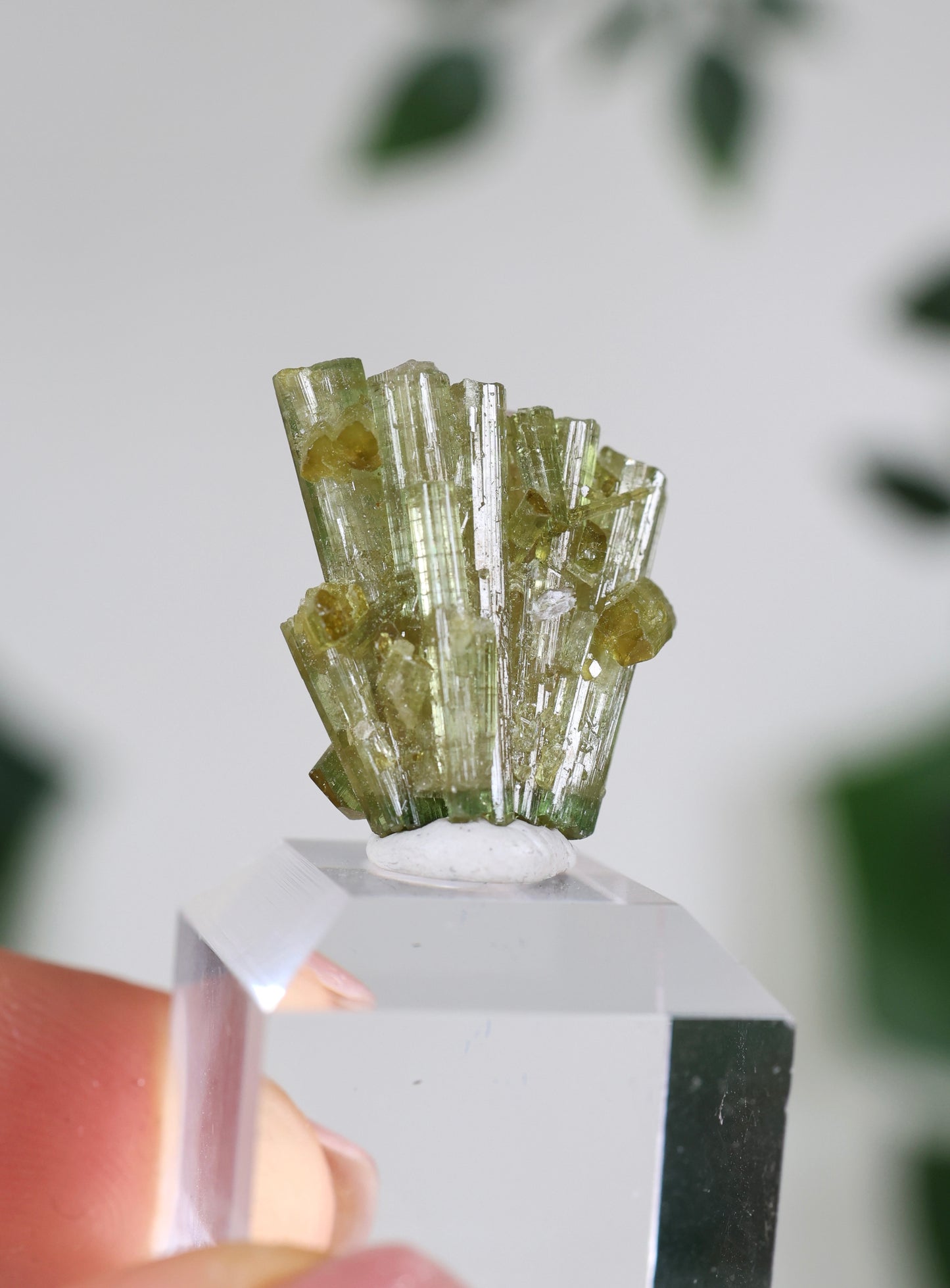 Grüner Turmalin Nr.35GT