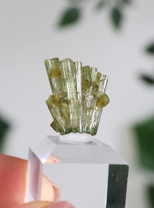 Grüner Turmalin Nr.35GT