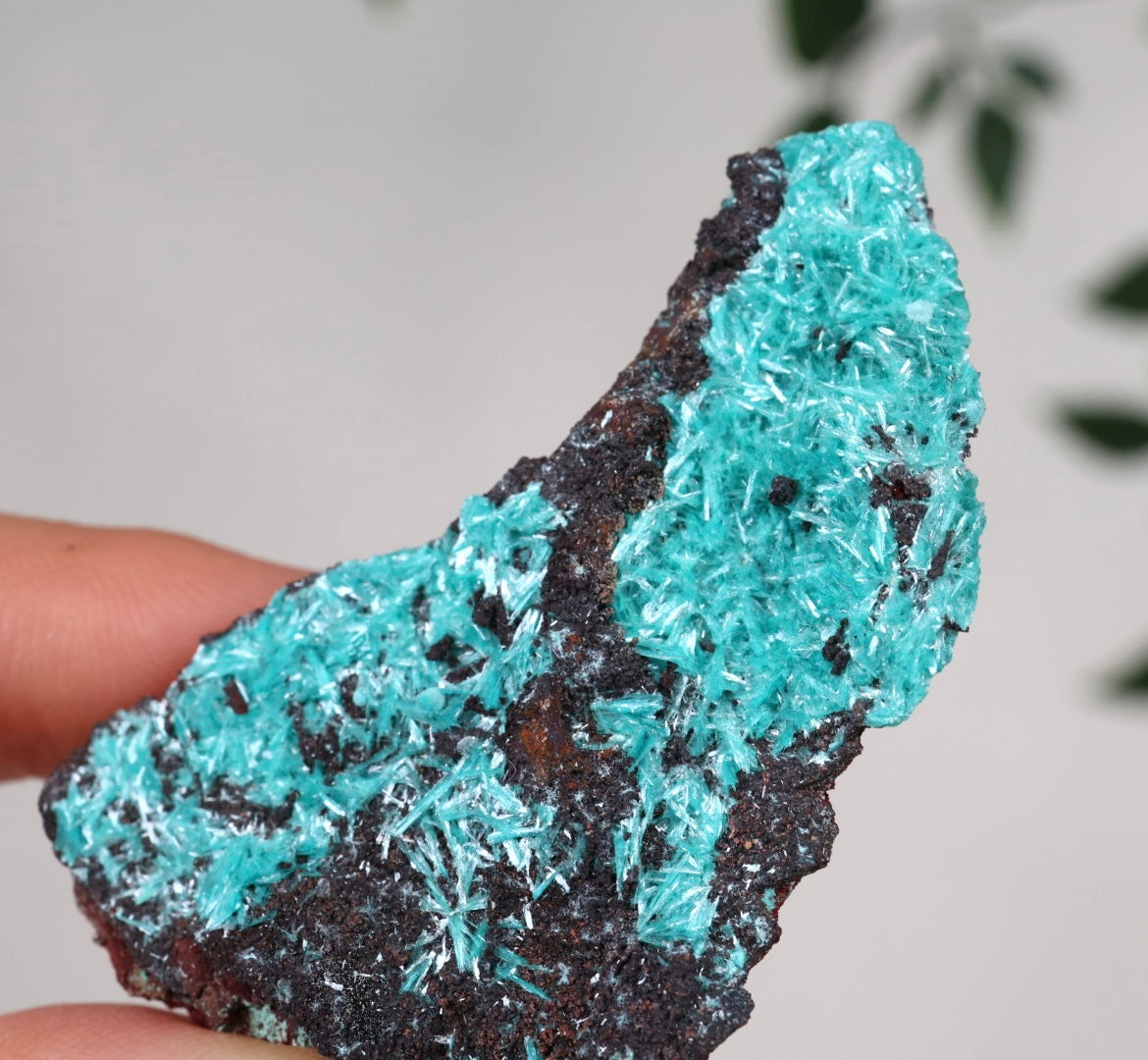Aurichalcite Nr.37AU