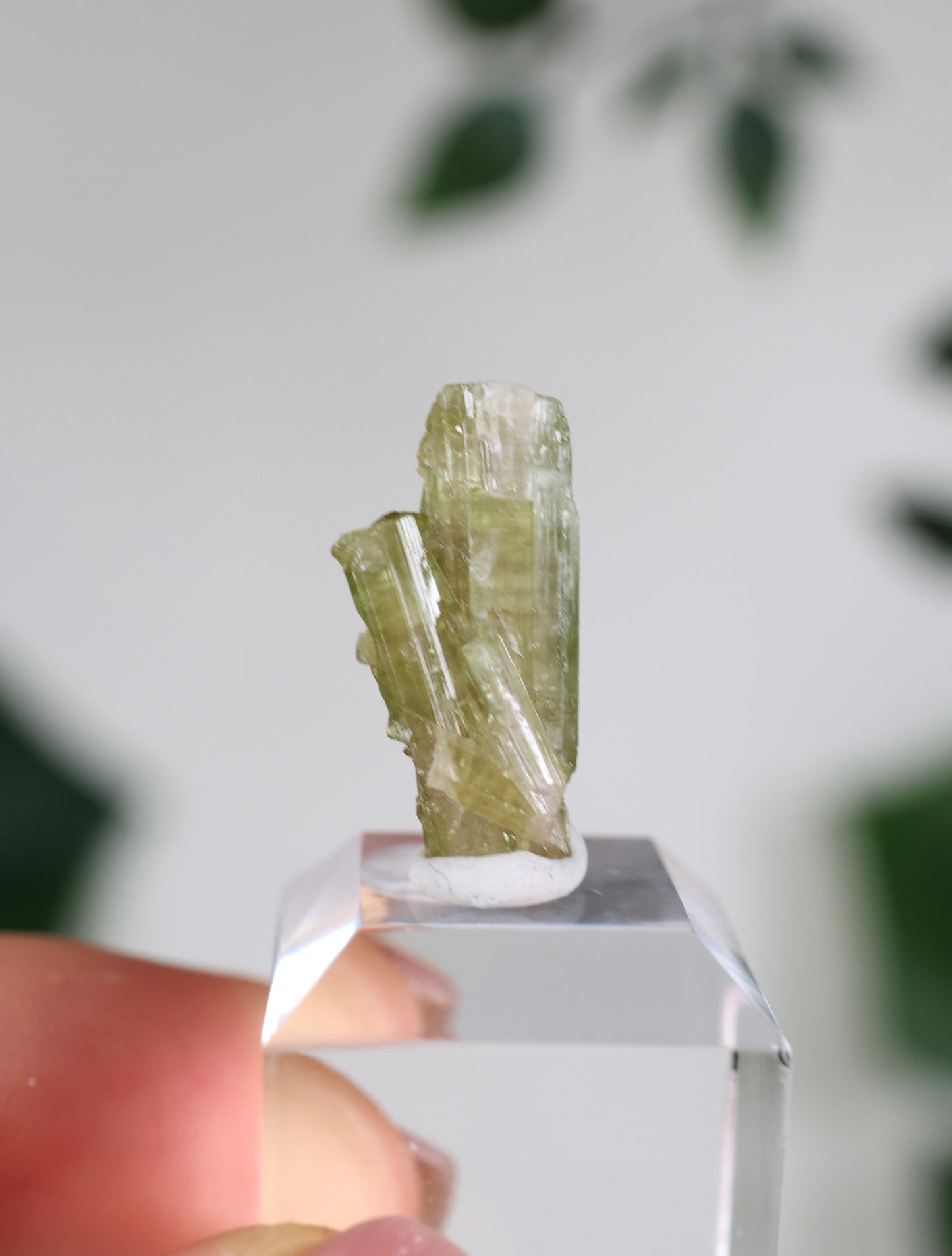 Grüner Turmalin XS - Auswahl