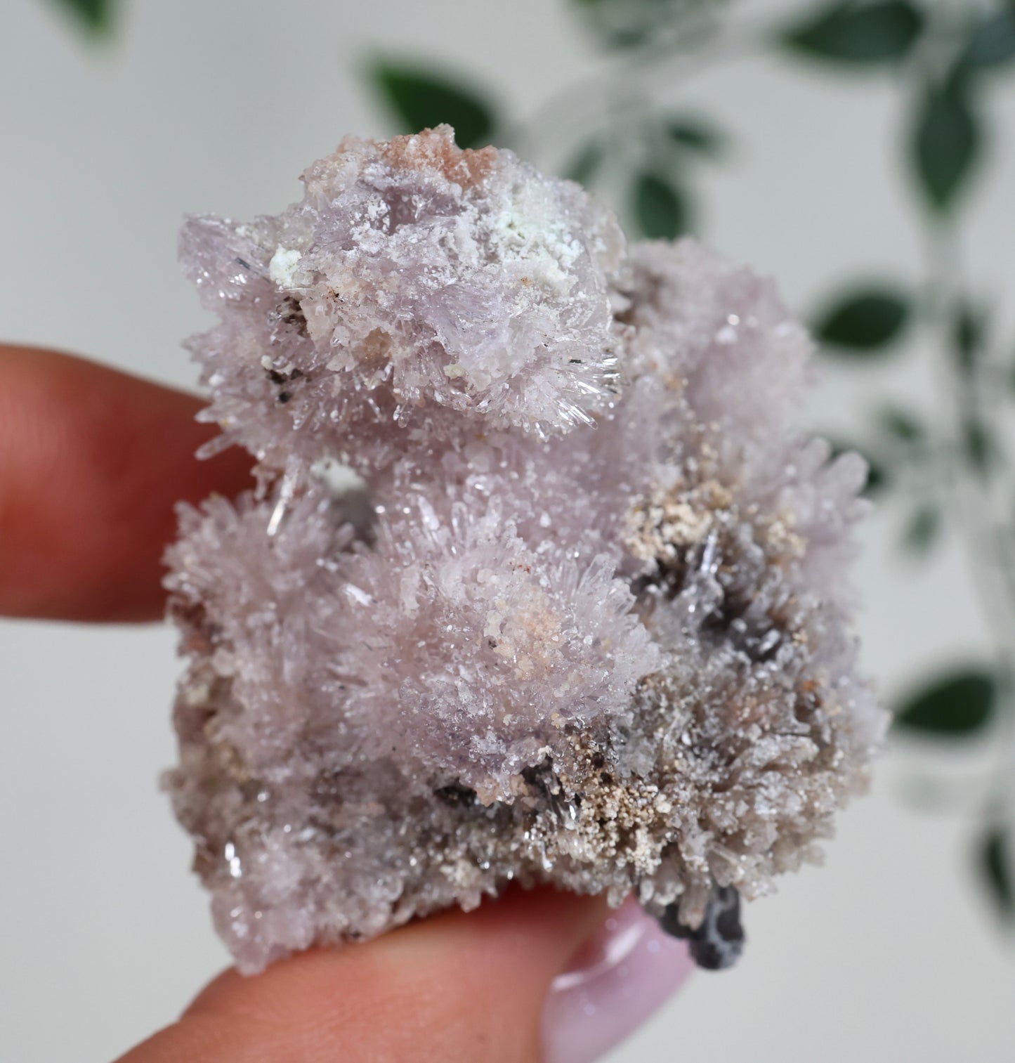 Lilaner Creedite Nr.119LC