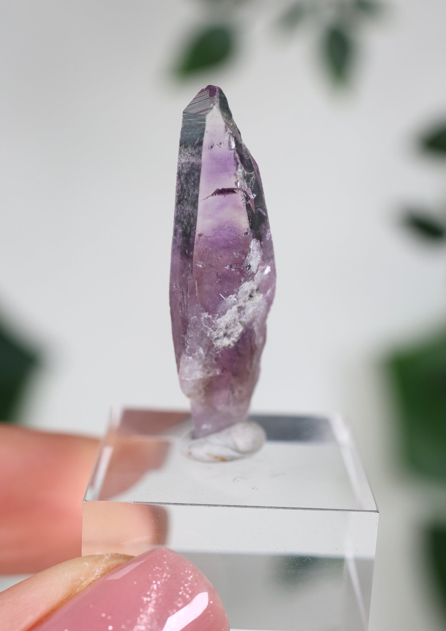 Guerrero Amethyst Oldstock XS - Auswahl