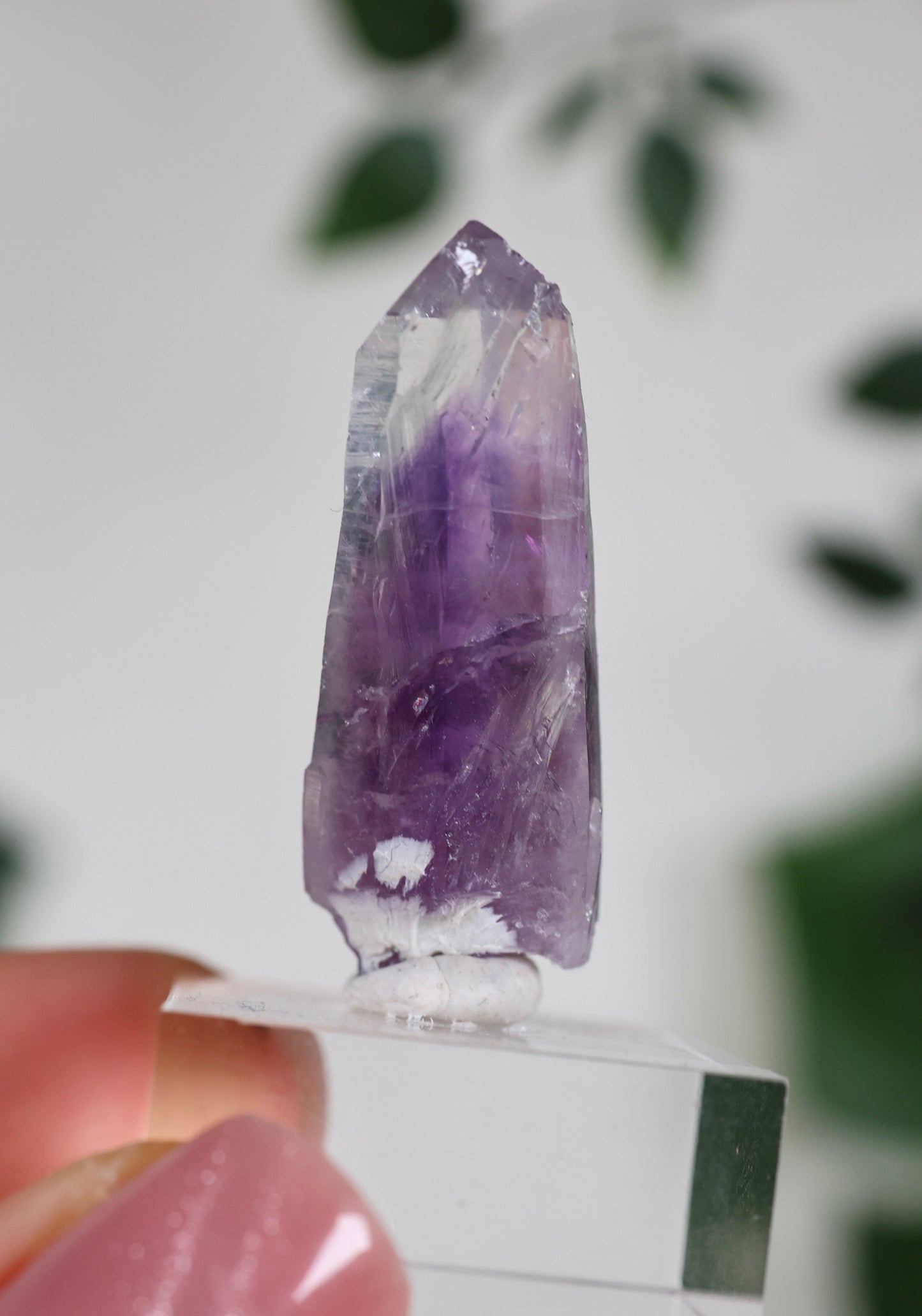 Guerrero Amethyst Oldstock S- Auswahl