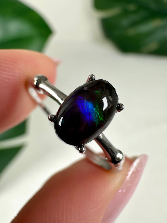 Ammolit Ring in 925 Silber Nr.49A2