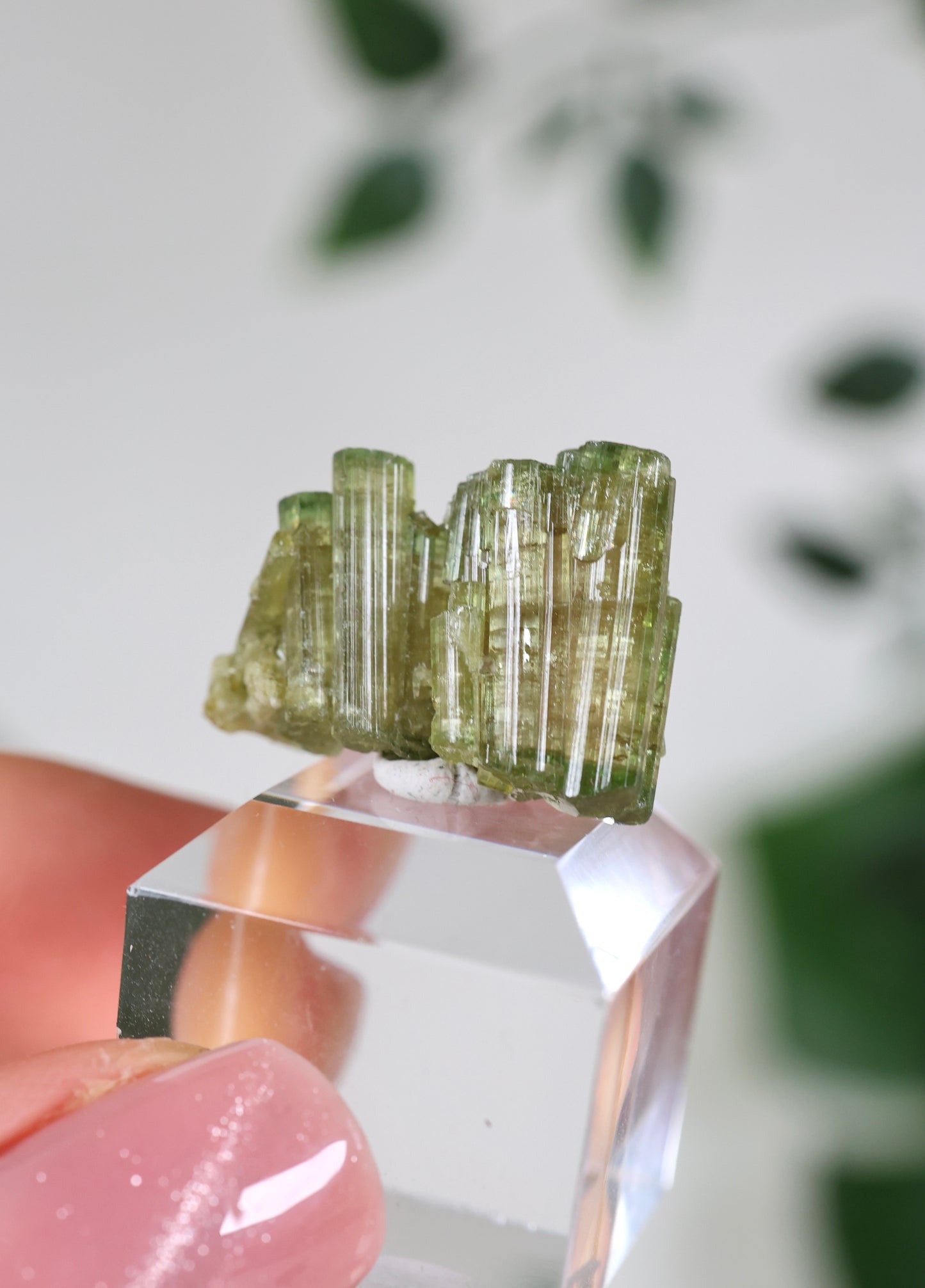 Grüner Turmalin Nr.35GR