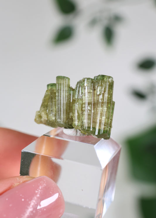 Grüner Turmalin Nr.35GR