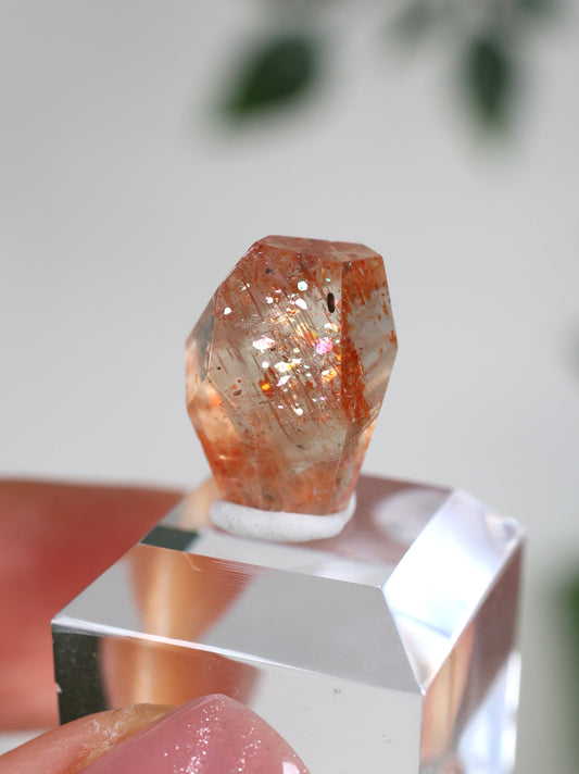 Sonnenstein in Quarz Nr.22SQ