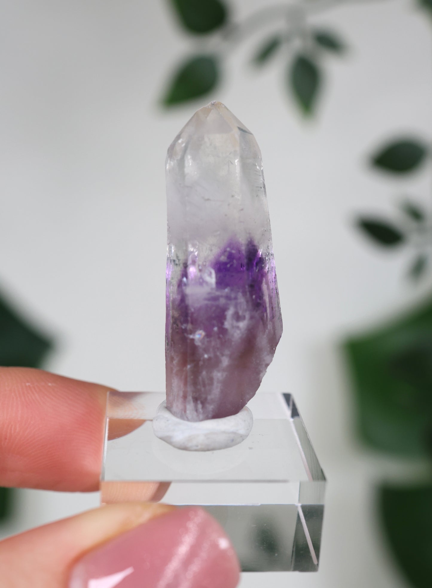 Guerrero Amethyst Oldstock S- Auswahl