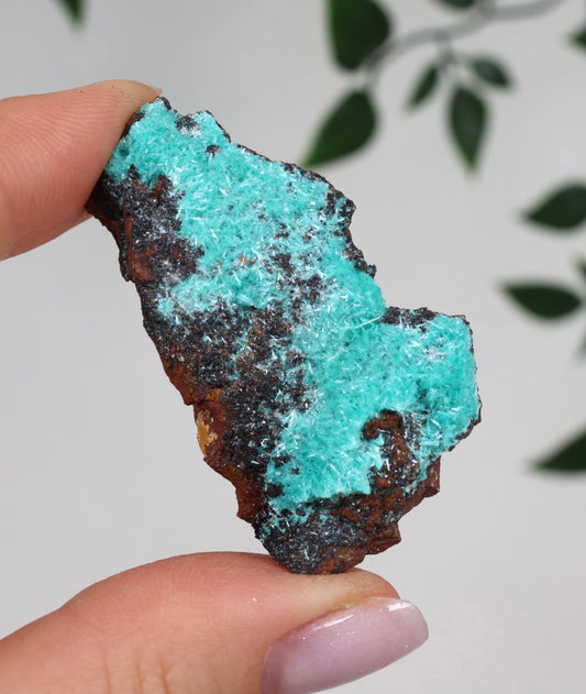 Aurichalcite Nr.31AU