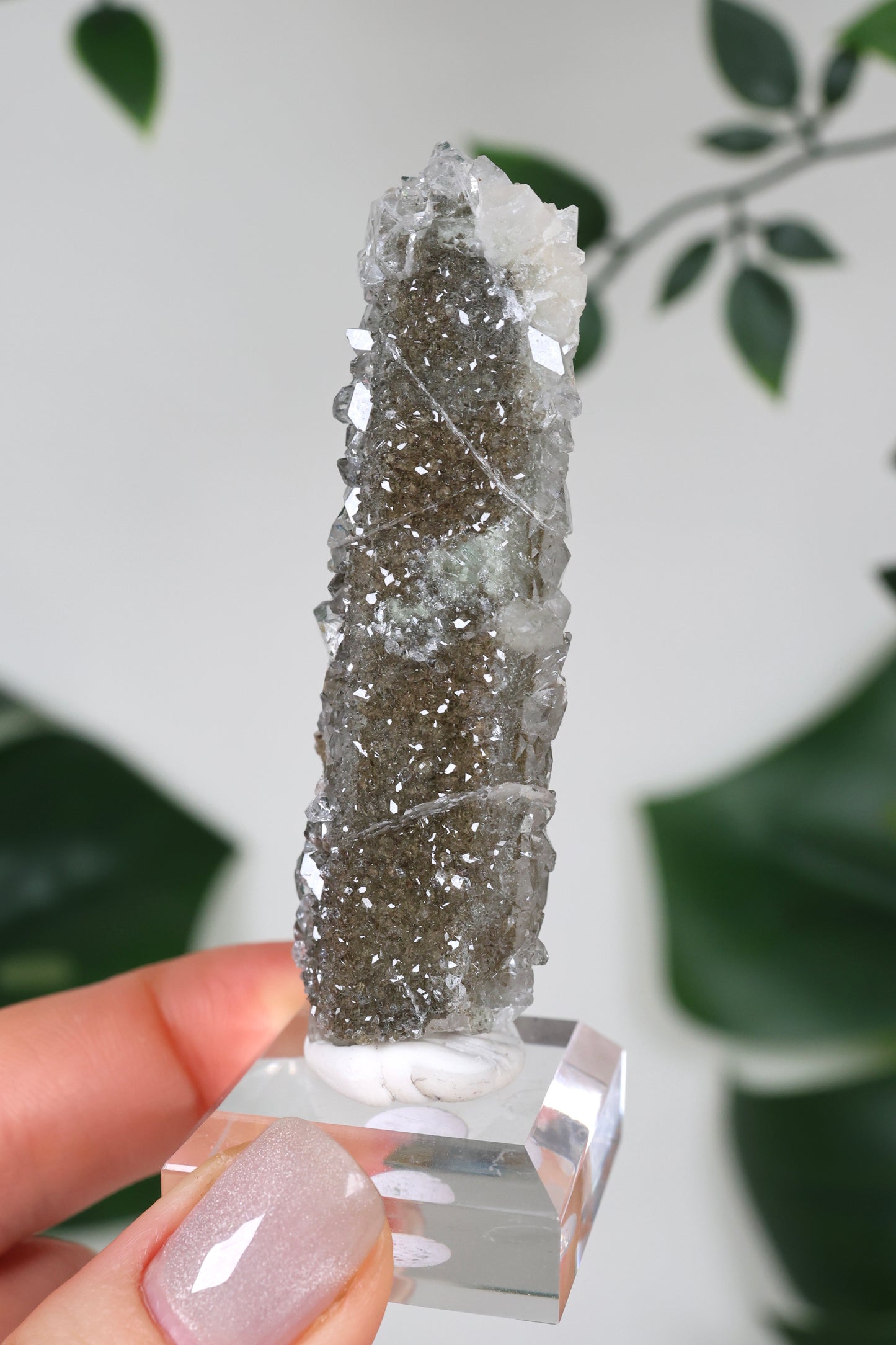 Apophyllit x Quarz x Chlorit Nr.110QA