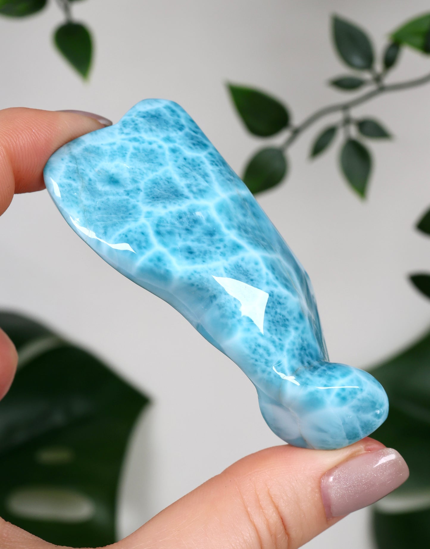 Larimar HQ Nr.499LA