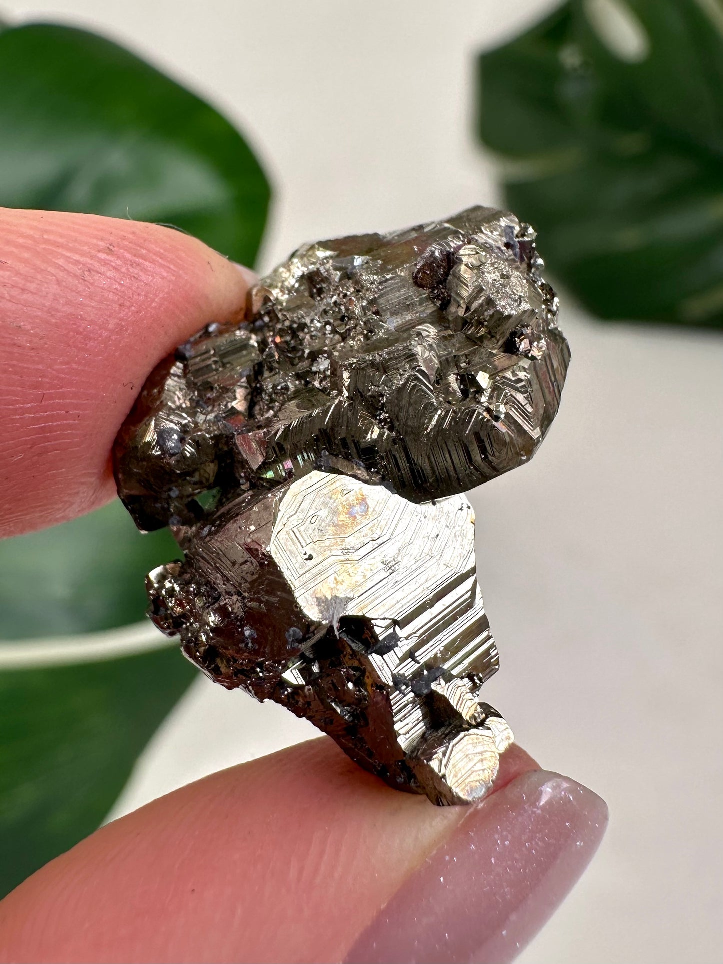 Iridescent Pyrite No. 12P3