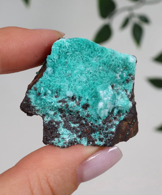 Aurichalcite Nr.32AU