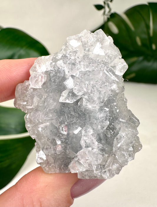 Apophyllit x Chalcedon Nr.10AC