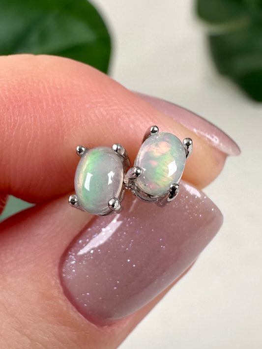 Äthiopische Opal Ohrstecker - 925 Silber Nr.31OP
