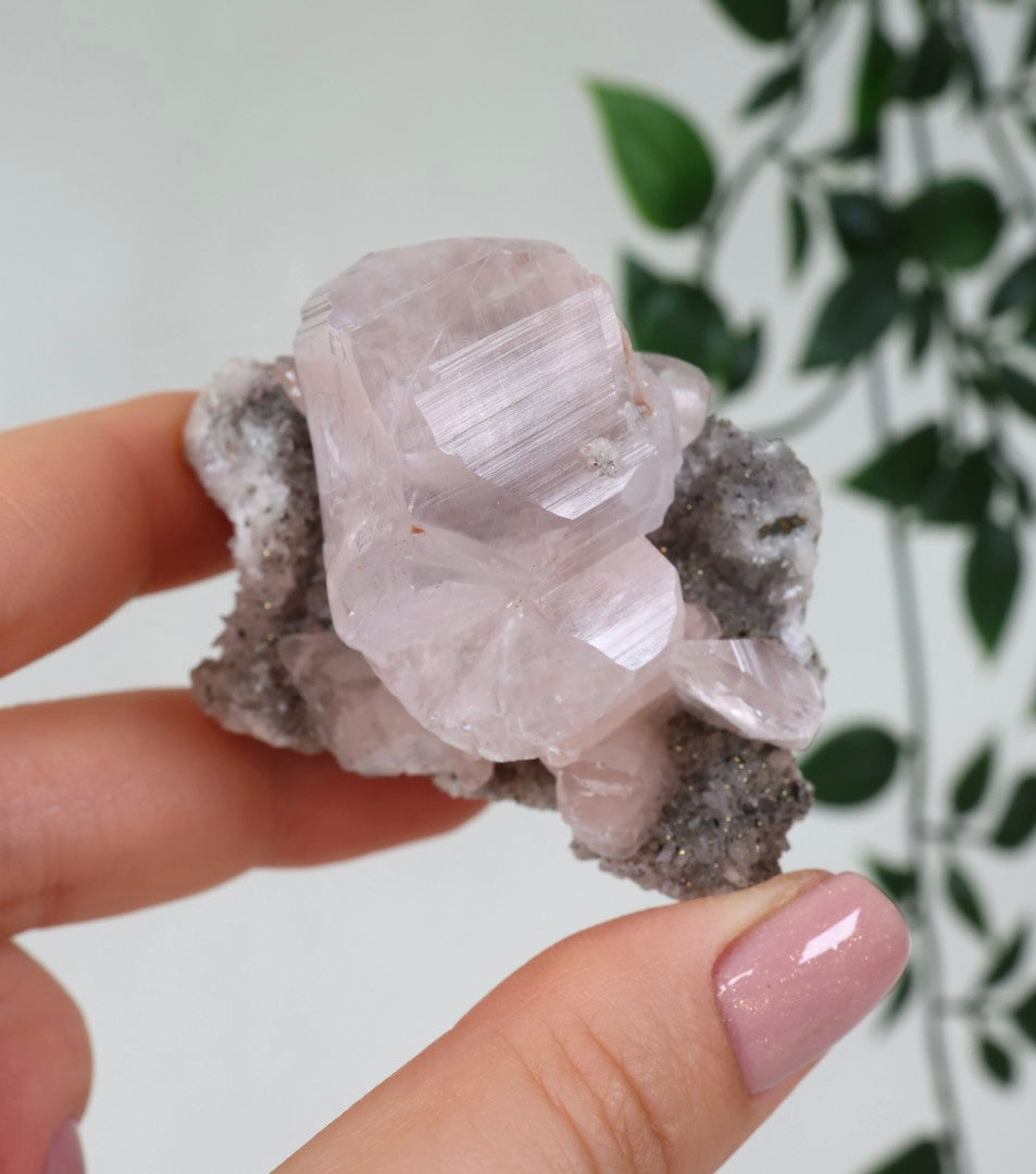 Pink Diamond Calcit x Chalkopyrit Nr.137DC