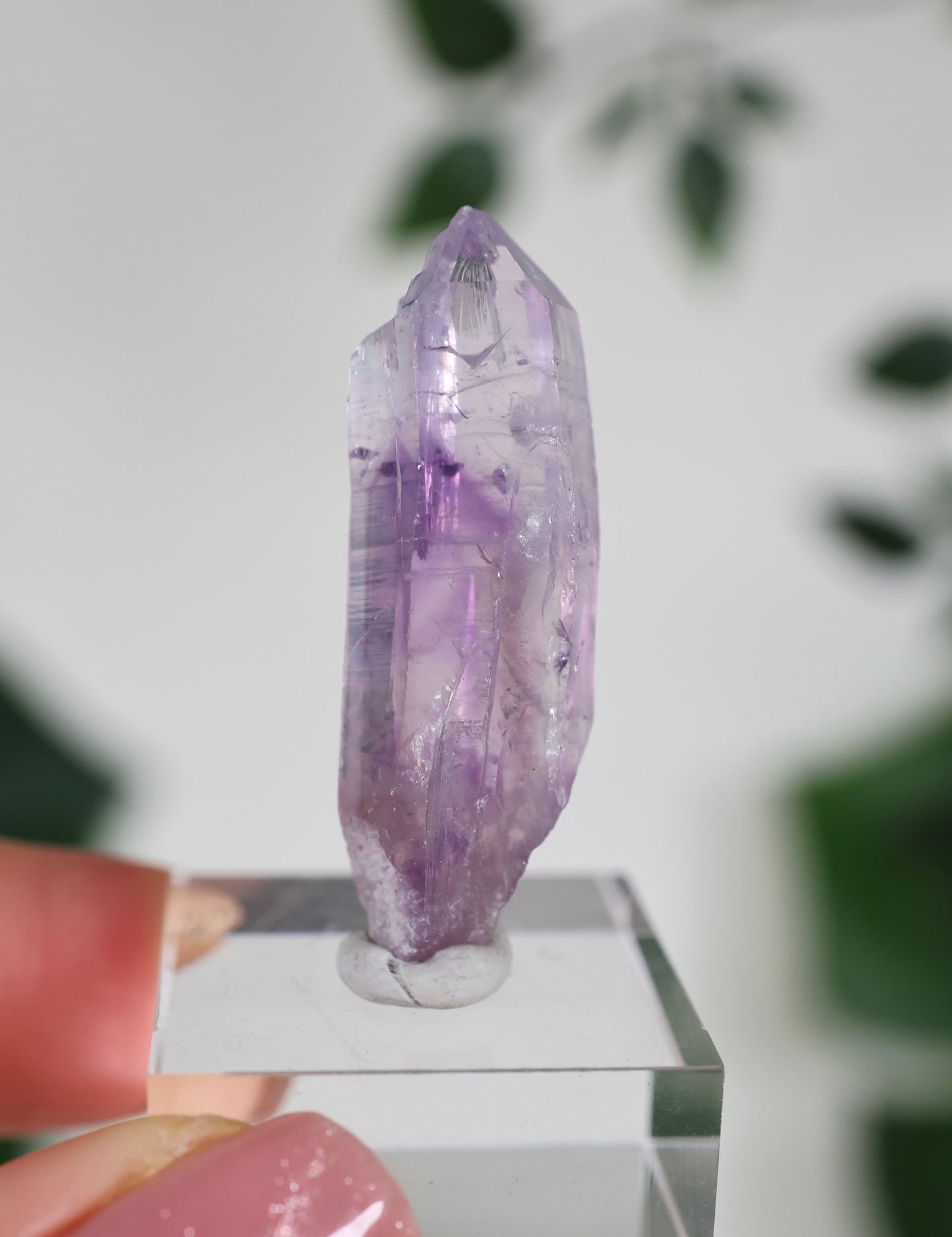 Guerrero Amethyst Oldstock XS - Auswahl