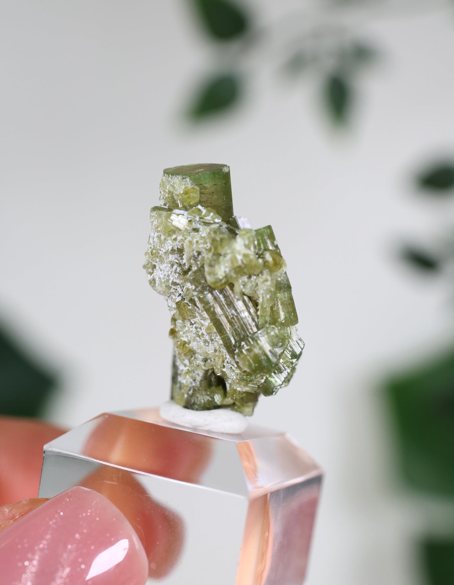 Grüner Turmalin XS - Auswahl