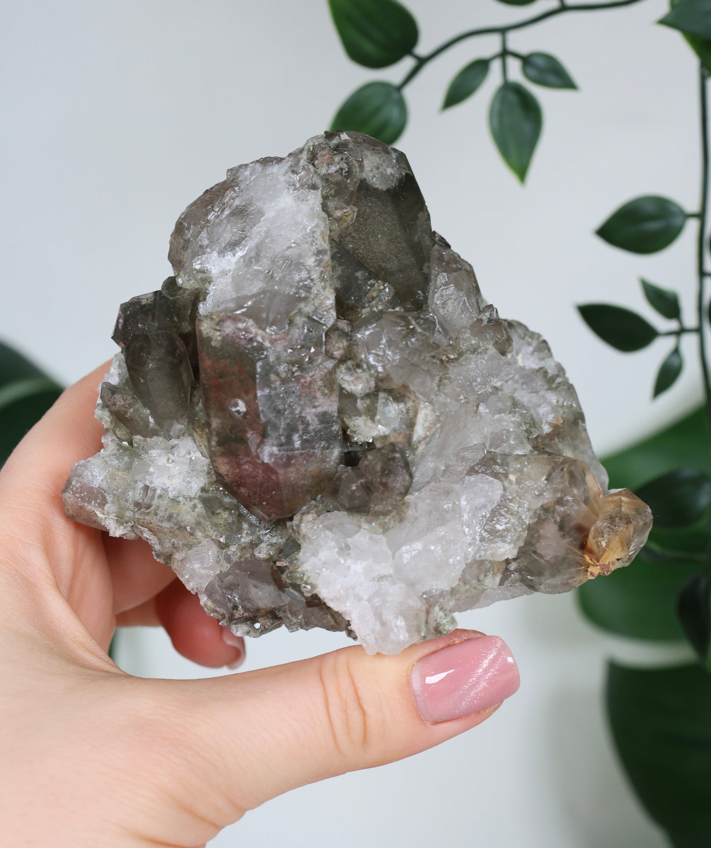 Gartenquarz x Rutil Cluster Nr.99GR