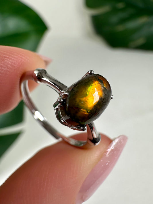 Ammolit Ring in 925 Silber Nr.49A5
