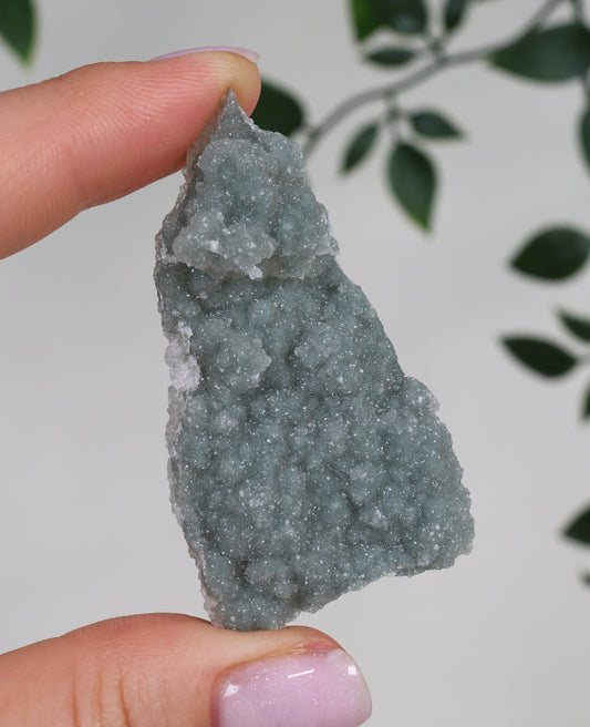 Grüner Apophyllit Crust Nr.26GA
