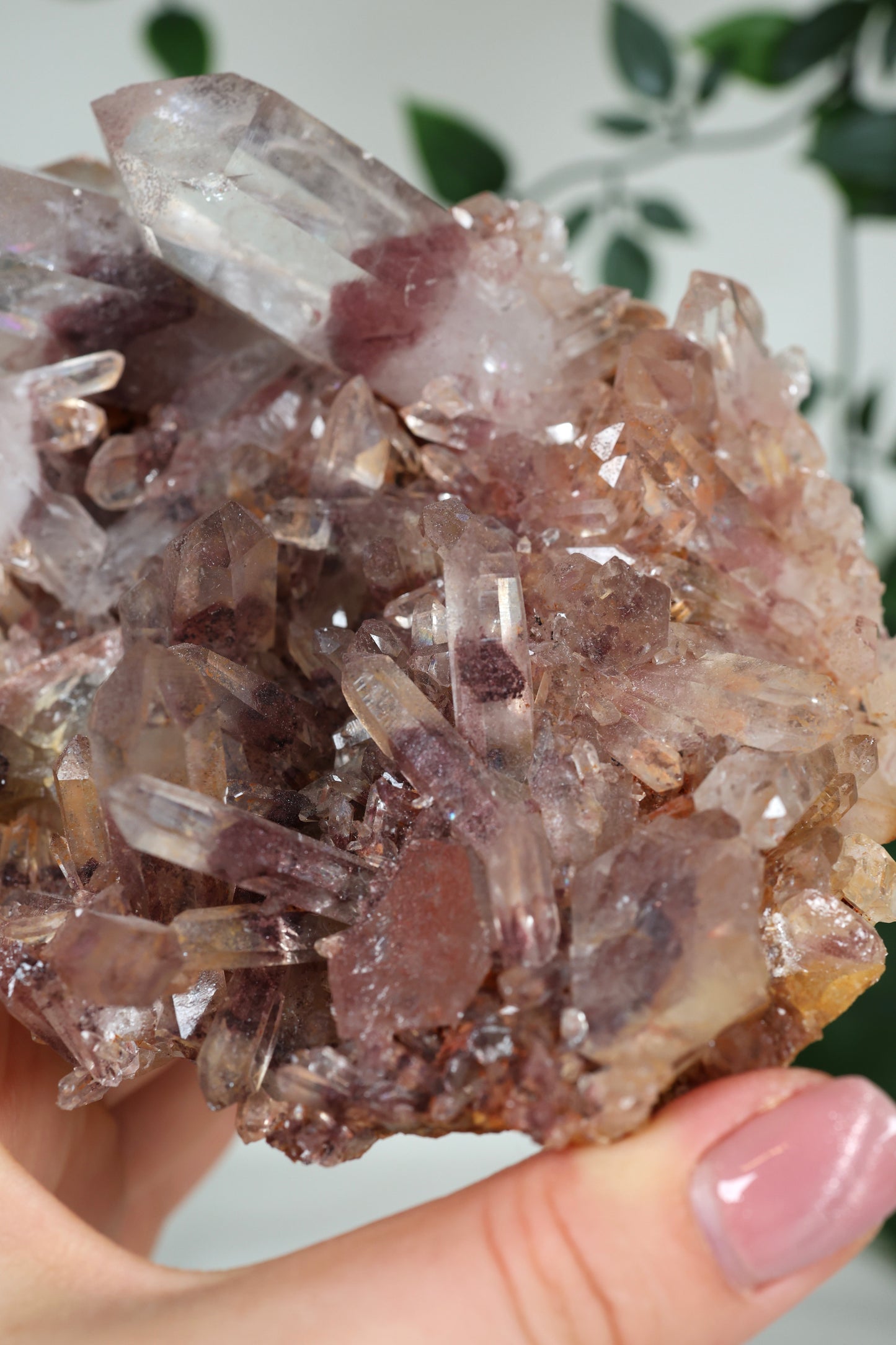 Sunset Quarz Nr.304SQ