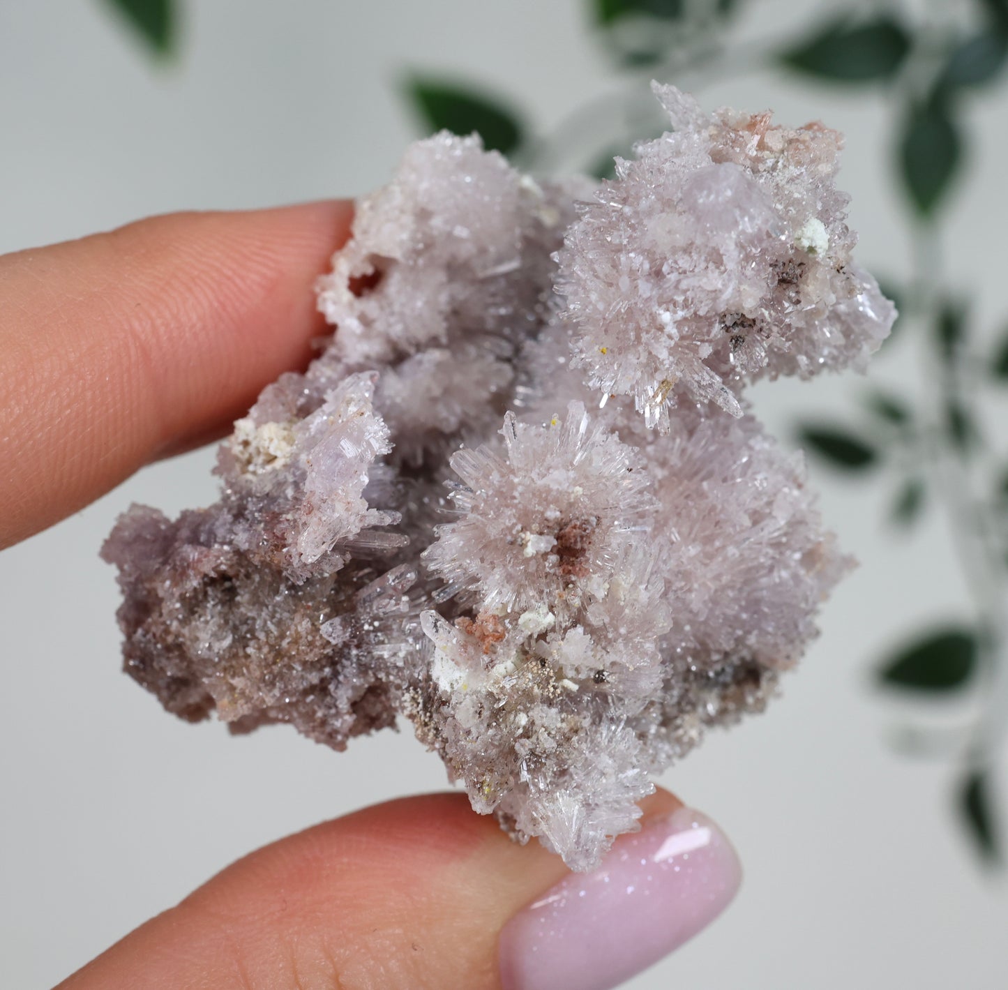 Lilaner Creedite Nr.119LC