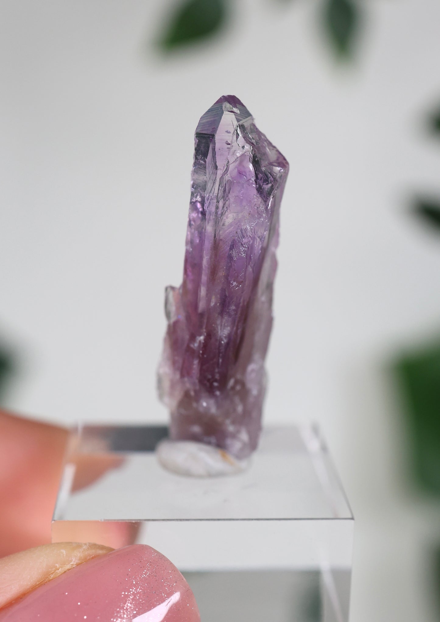 Guerrero Amethyst Oldstock XS - Auswahl