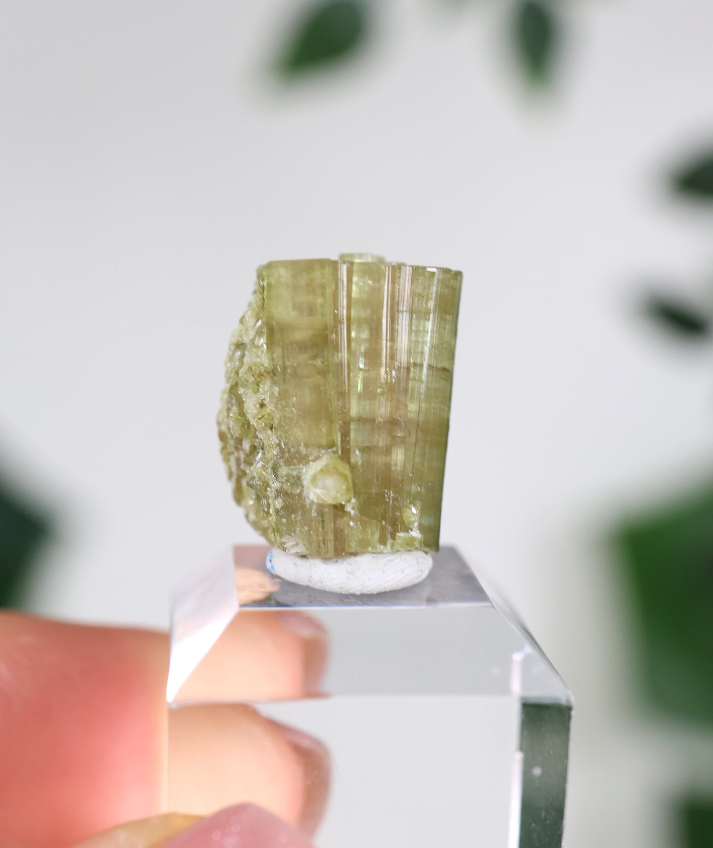 Grüner Turmalin XS - Auswahl