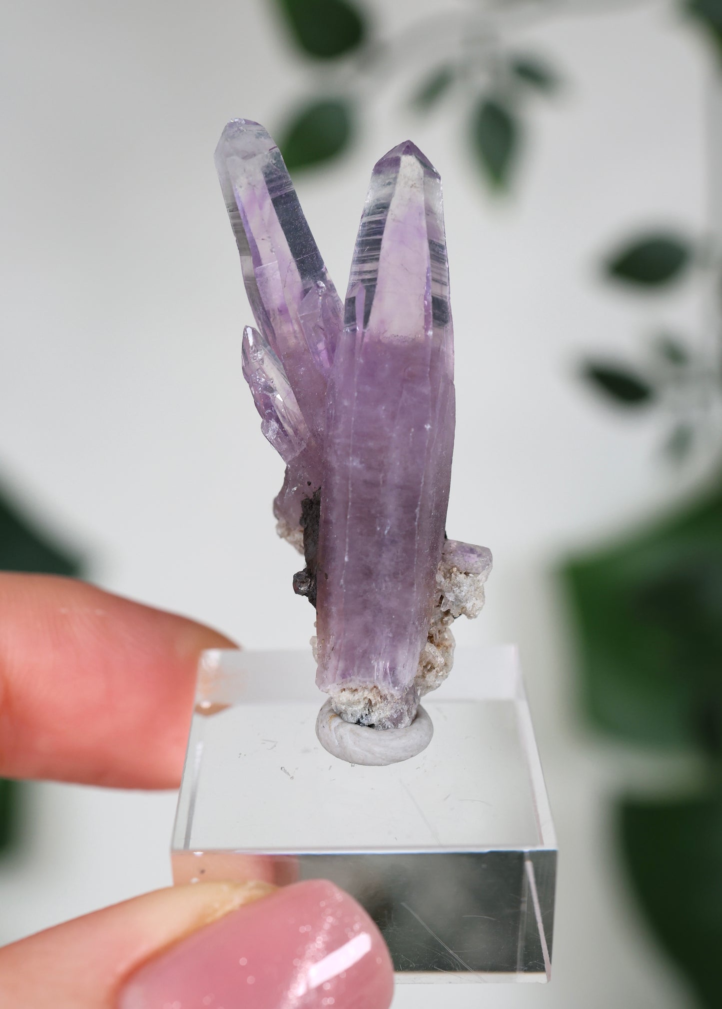 Guerrero Amethyst Nr.32GA