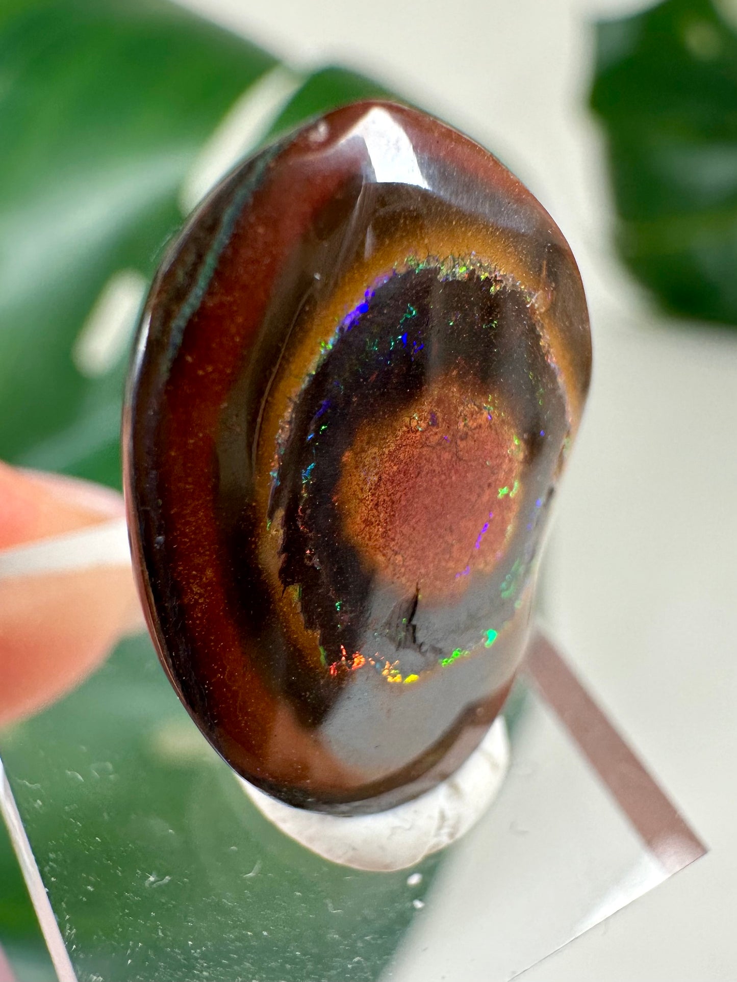 Koroit Nuss Boulder Opal Nr.262KO