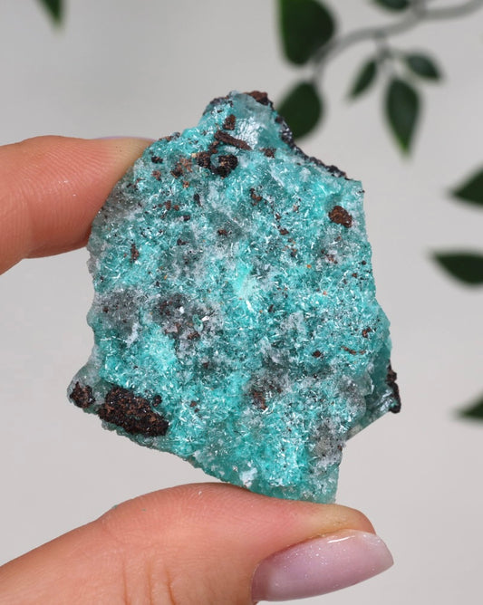 Aurichalcite Nr.29AR