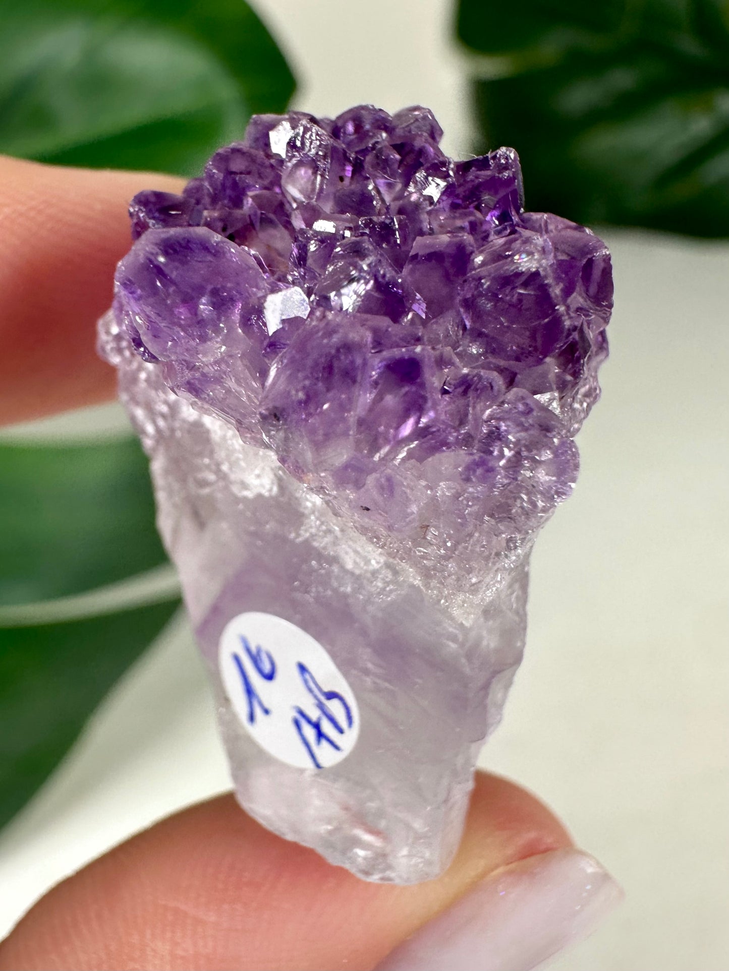 Amethyst-Quarz Zepter Nr.16AB