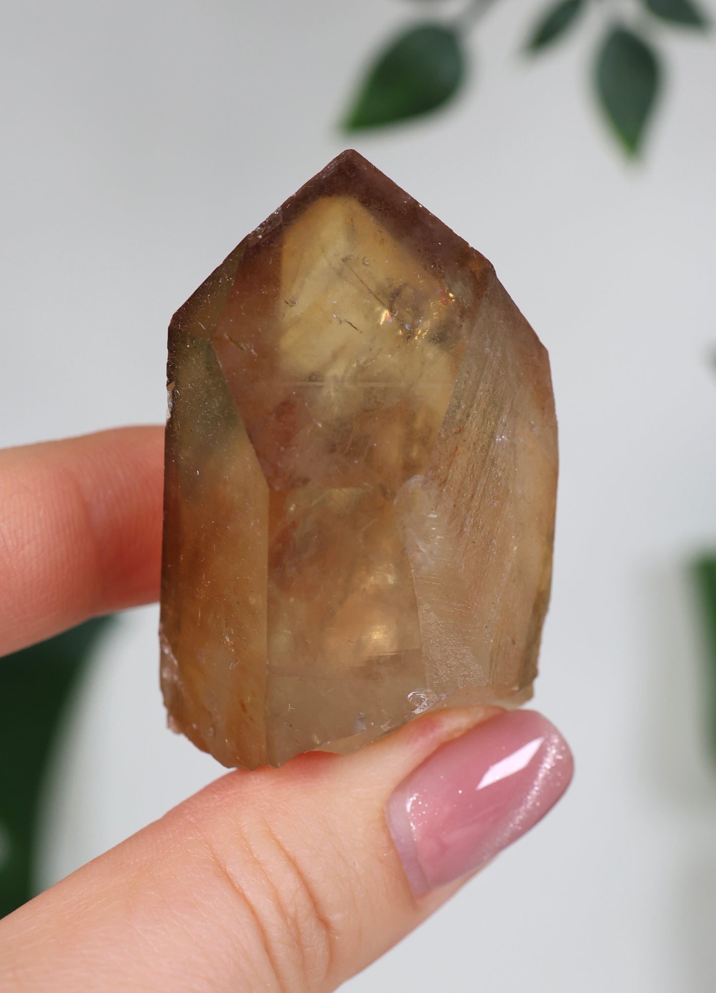 Natürliche Citrin Spitze mit Phantomen Nr.39CS
