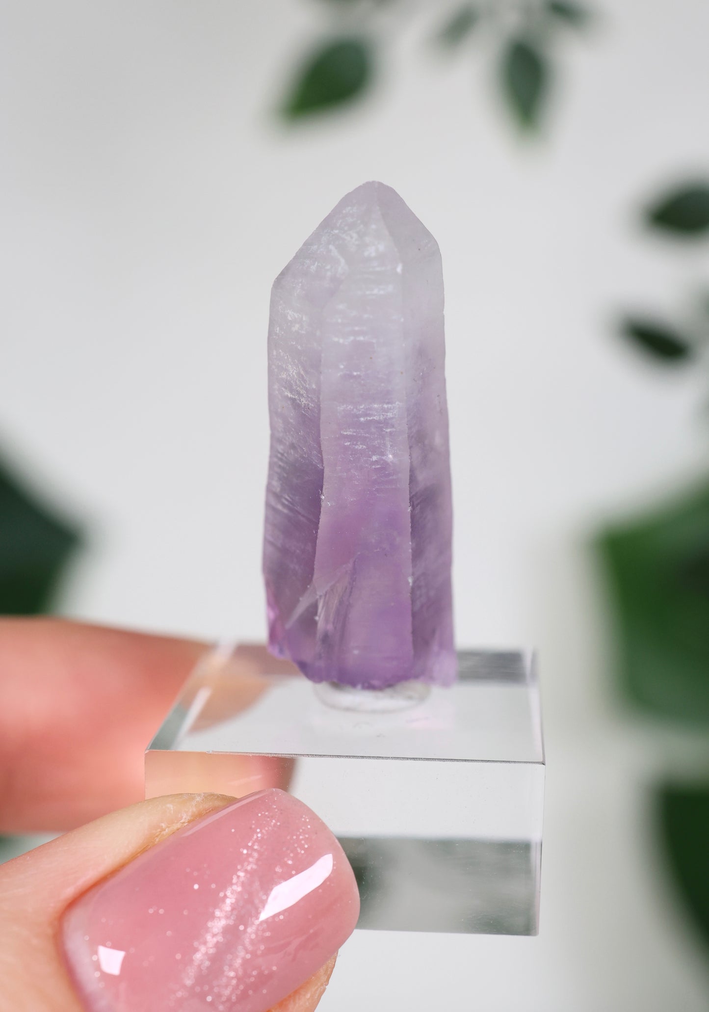 Guerrero Amethyst Oldstock XS - Auswahl